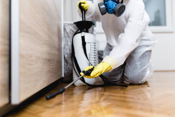 Best Local Pest Control Services  in Bridgeport, OH