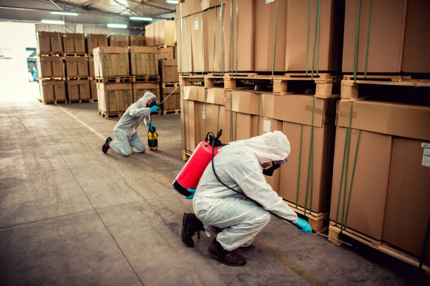 Professional Pest Control in Bridgeport, OH
