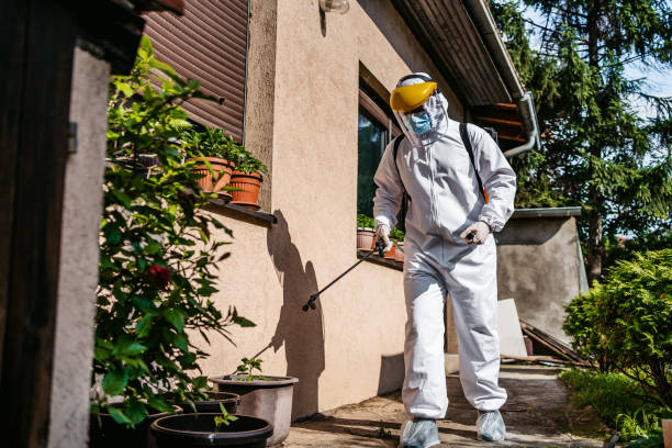Best Spider Control Near Me  in Bridgeport, OH