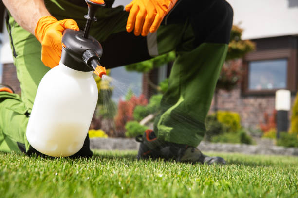 Best Commercial Pest Control Services  in Bridgeport, OH