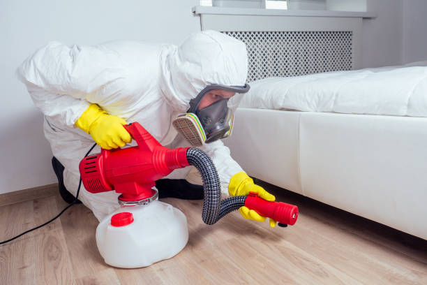 Best Emergency Pest Control  in Bridgeport, OH
