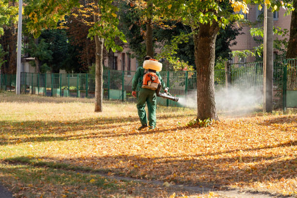 Best Residential Pest Control  in Bridgeport, OH