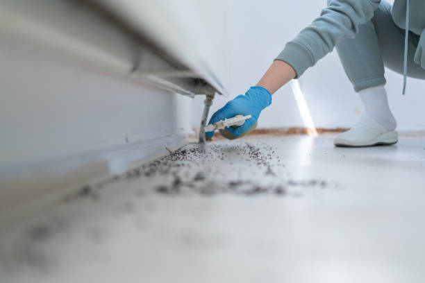 Best Pest Removal Services  in Bridgeport, OH